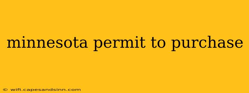 minnesota permit to purchase