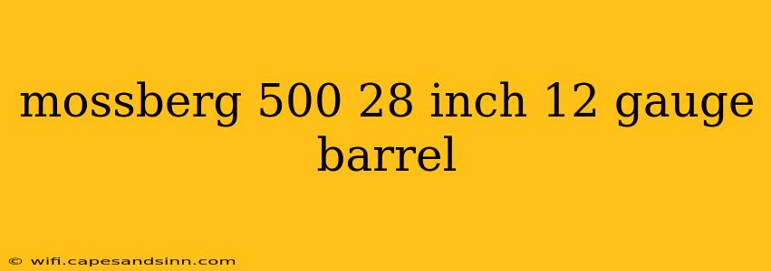 mossberg 500 28 inch 12 gauge barrel