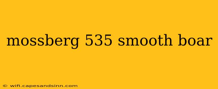 mossberg 535 smooth boar