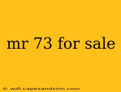 mr 73 for sale