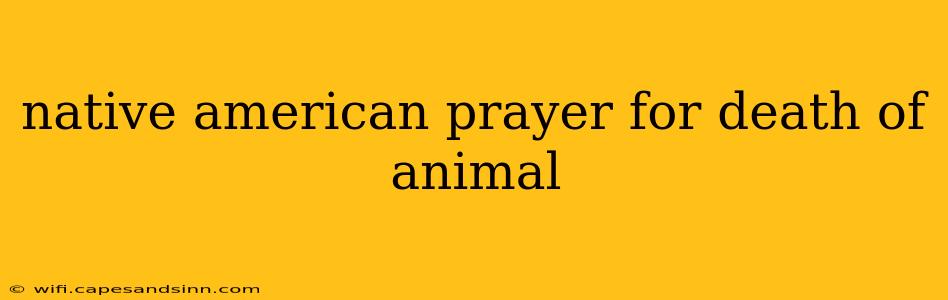 native american prayer for death of animal