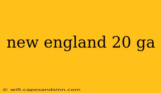 new england 20 ga