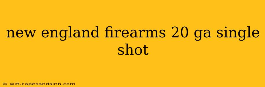 new england firearms 20 ga single shot