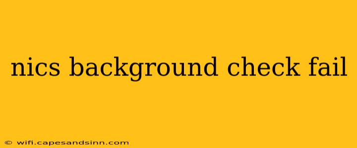 nics background check fail