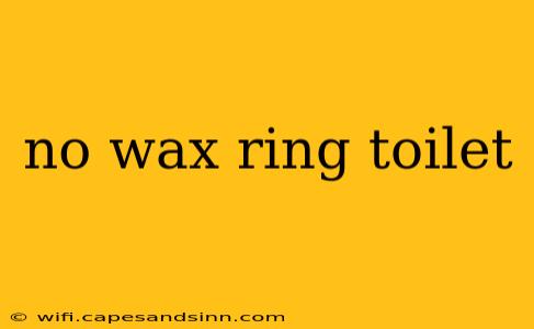 no wax ring toilet