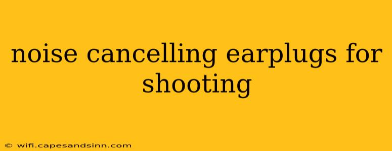 noise cancelling earplugs for shooting