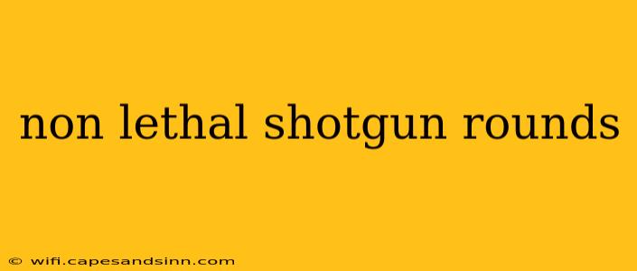 non lethal shotgun rounds