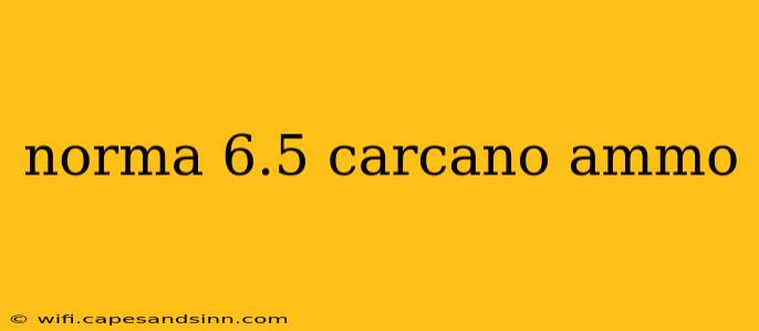 norma 6.5 carcano ammo