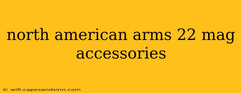 north american arms 22 mag accessories