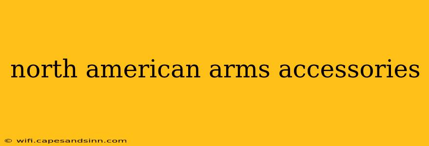 north american arms accessories