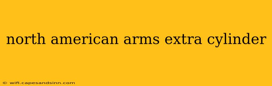 north american arms extra cylinder