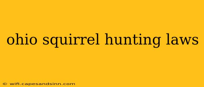 ohio squirrel hunting laws