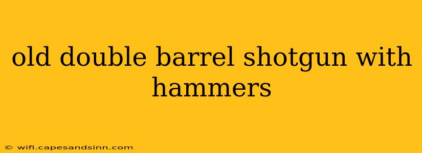 old double barrel shotgun with hammers