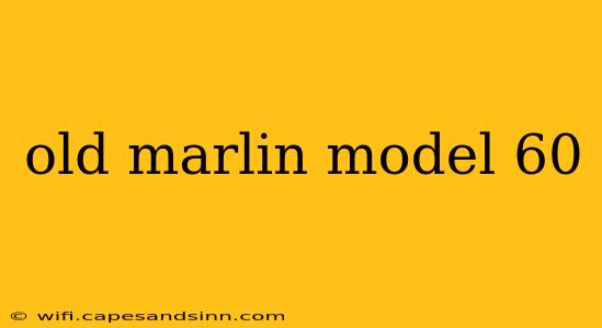 old marlin model 60