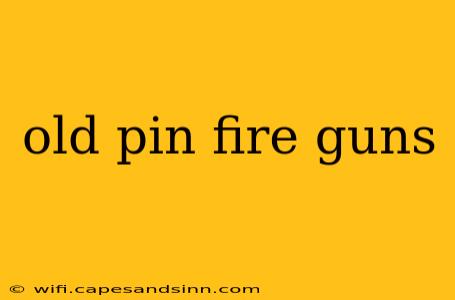 old pin fire guns