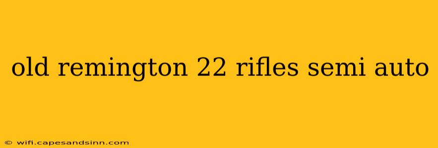 old remington 22 rifles semi auto