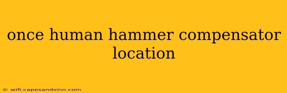 once human hammer compensator location