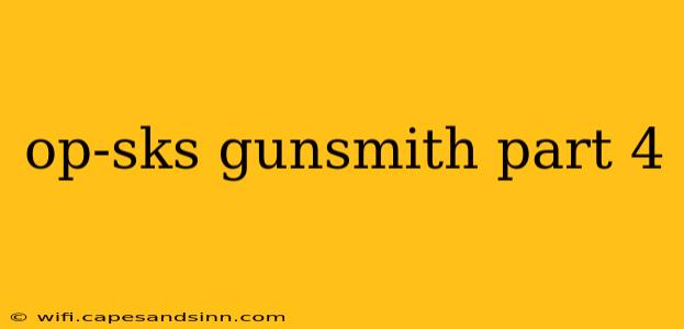 op-sks gunsmith part 4