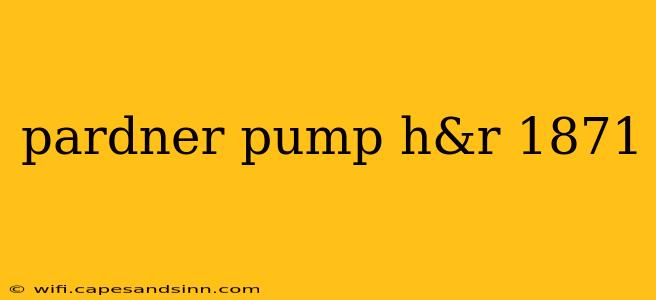 pardner pump h&r 1871