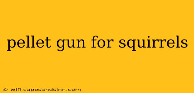 pellet gun for squirrels