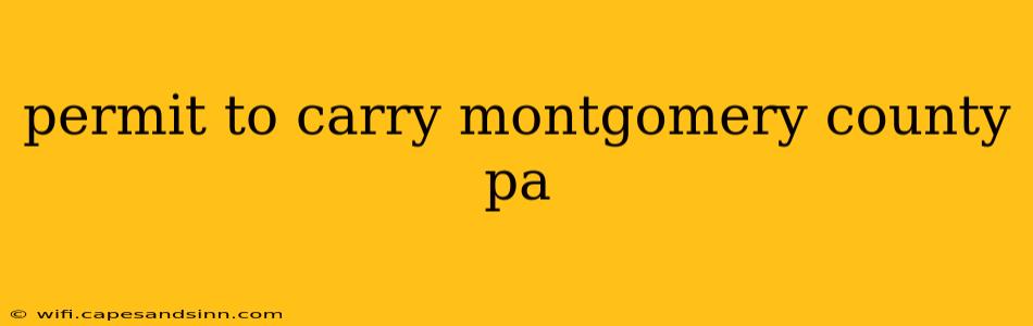 permit to carry montgomery county pa