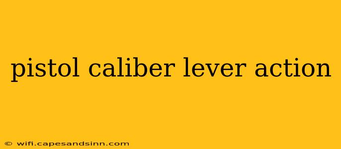 pistol caliber lever action