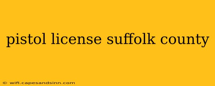 pistol license suffolk county