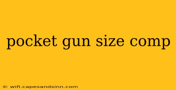 pocket gun size comp