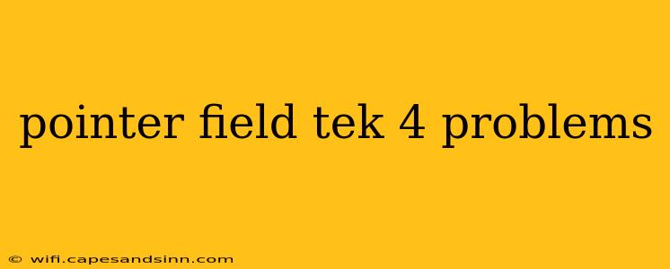 pointer field tek 4 problems