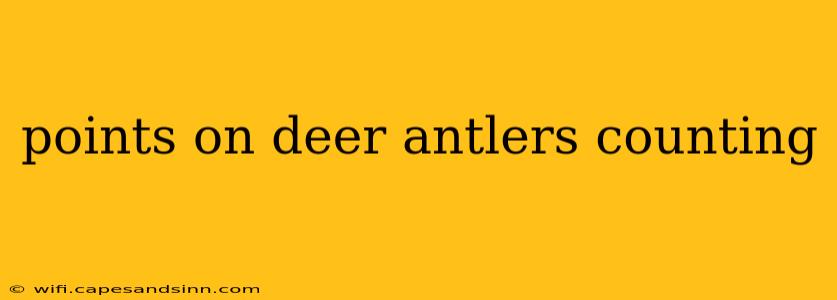 points on deer antlers counting