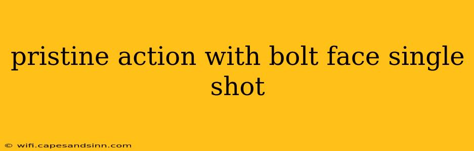 pristine action with bolt face single shot