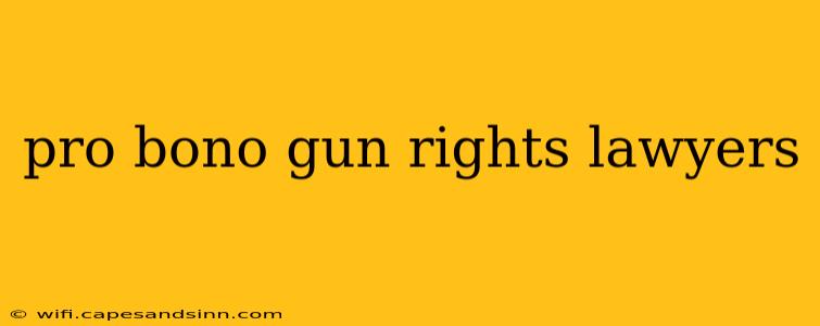 pro bono gun rights lawyers