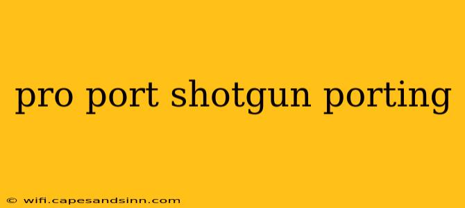 pro port shotgun porting