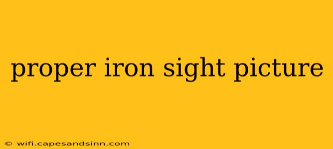 proper iron sight picture