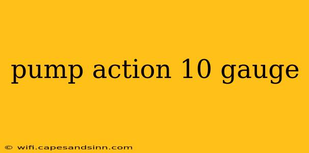 pump action 10 gauge