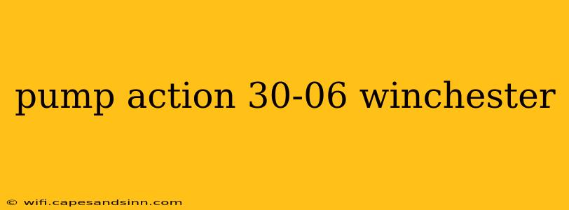 pump action 30-06 winchester