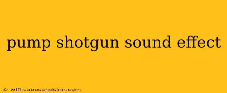 pump shotgun sound effect