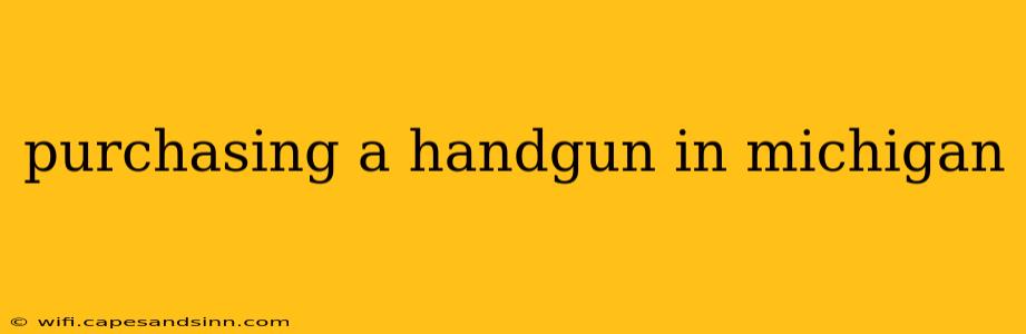 purchasing a handgun in michigan