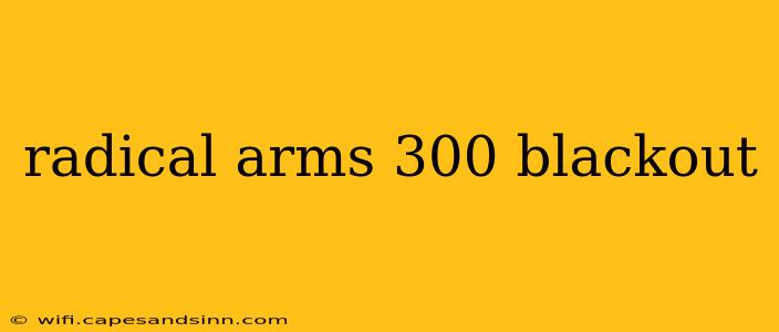 radical arms 300 blackout