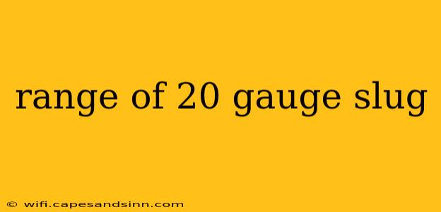 range of 20 gauge slug