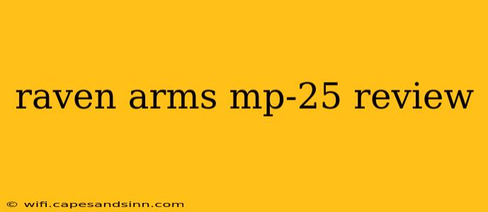 raven arms mp-25 review