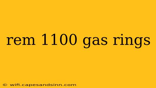 rem 1100 gas rings