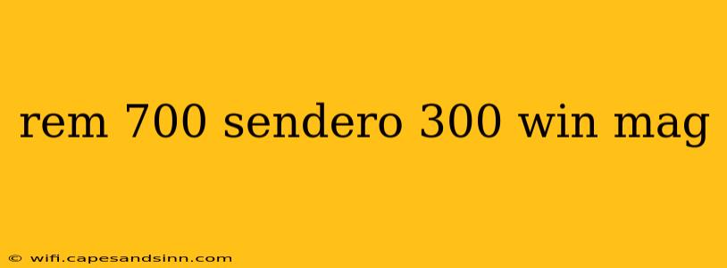 rem 700 sendero 300 win mag