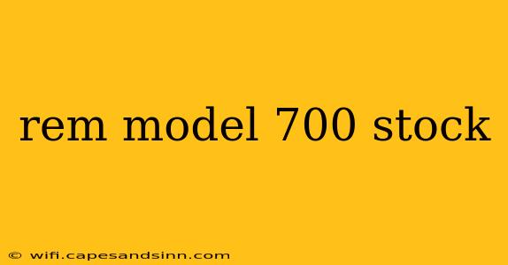 rem model 700 stock