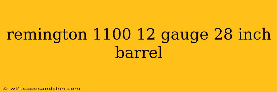 remington 1100 12 gauge 28 inch barrel