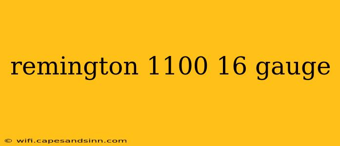 remington 1100 16 gauge