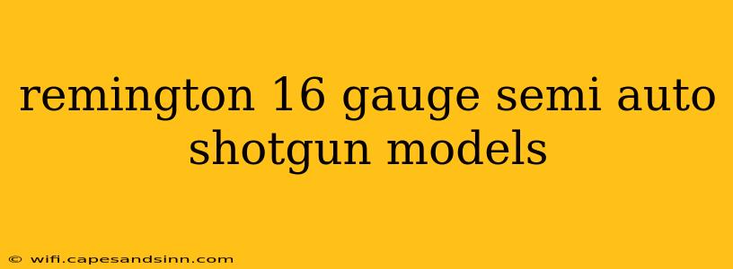 remington 16 gauge semi auto shotgun models