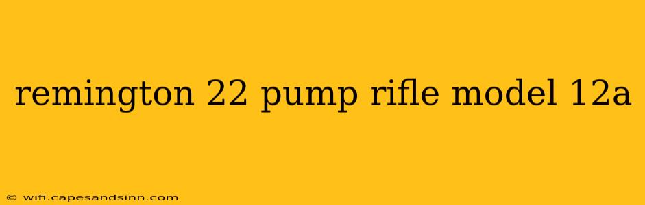 remington 22 pump rifle model 12a