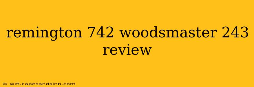 remington 742 woodsmaster 243 review