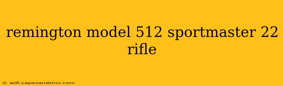 remington model 512 sportmaster 22 rifle